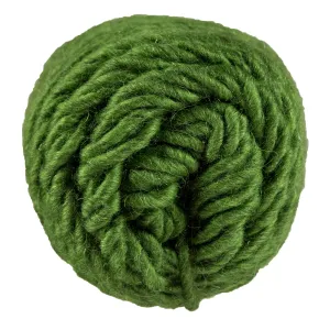 Brown Sheep Lamb's Pride Bulky Yarn - M191 - Kiwi